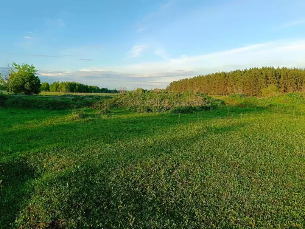 Участок в Нижегородская область, Богородский муниципальный округ, д. ... - Фото 0