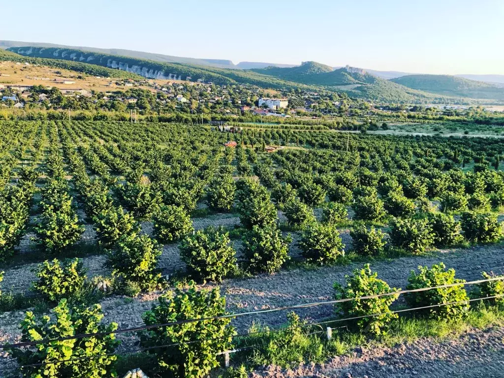 Участок в Крым, Бахчисарайский район, Куйбышевское с/пос, с. Танковое  ... - Фото 0