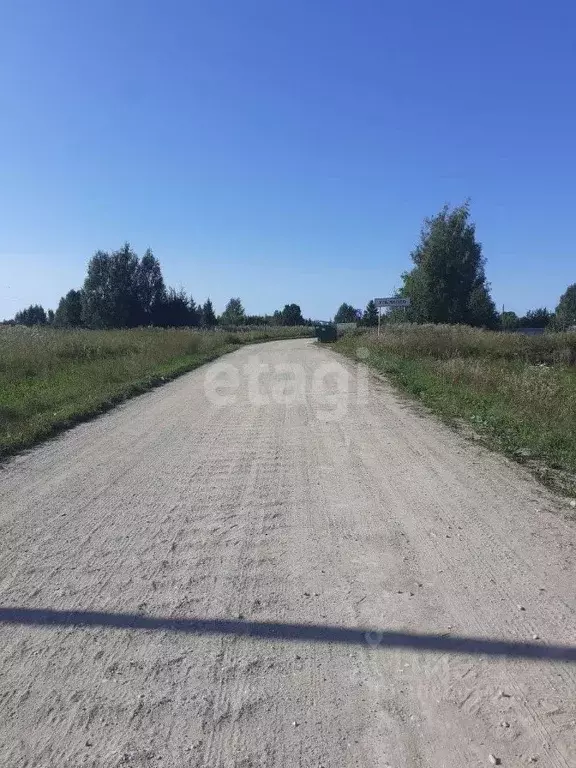 Участок в Вологодская область, Череповецкий район, Югское ... - Фото 1