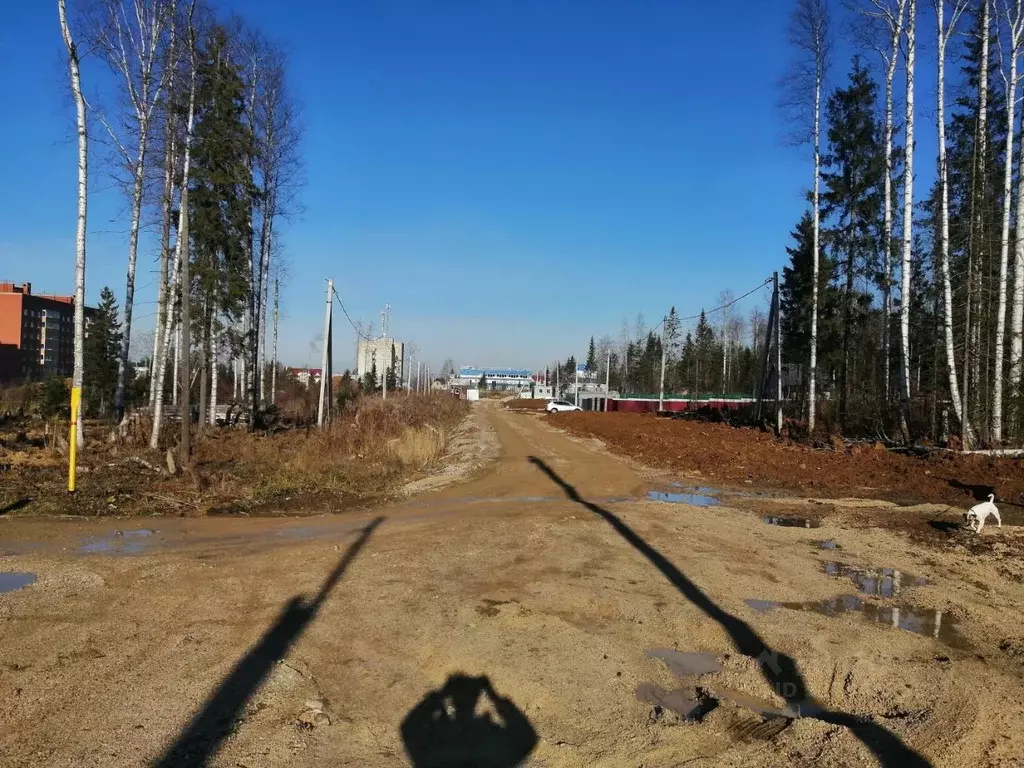 Участок в Пермский край, Губаха пер. Тихий, 12 (14.0 сот.) - Фото 2