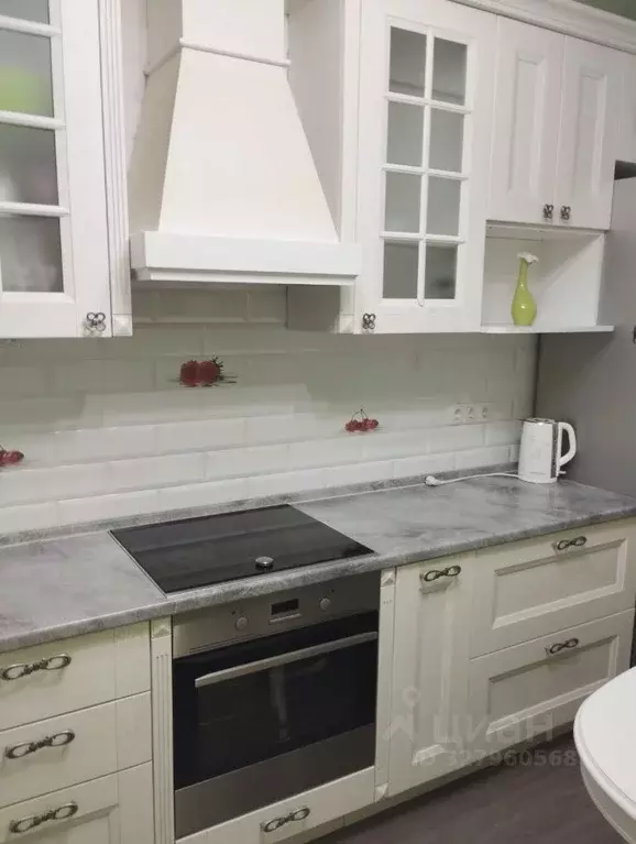 1-к кв. Ленинградская область, Всеволожский район, д. Новое Девяткино ... - Фото 2