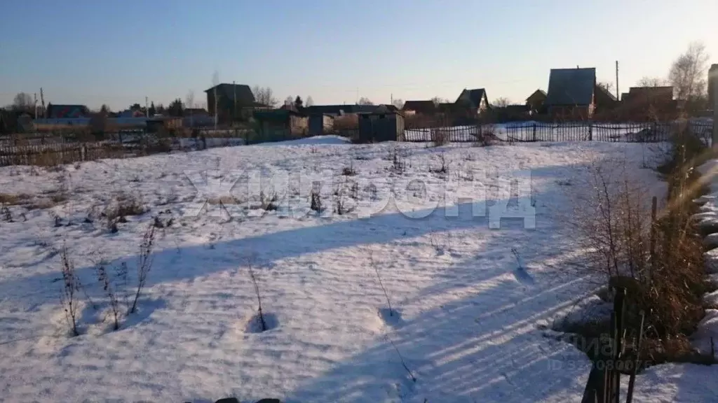 Участок в Новосибирская область, Ордынское рп, Рябинка СНТ  (6.0 сот.) - Фото 1