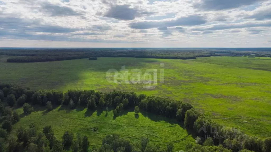 Участок в Тюменская область, Тюменский муниципальный округ, Каменское ... - Фото 1