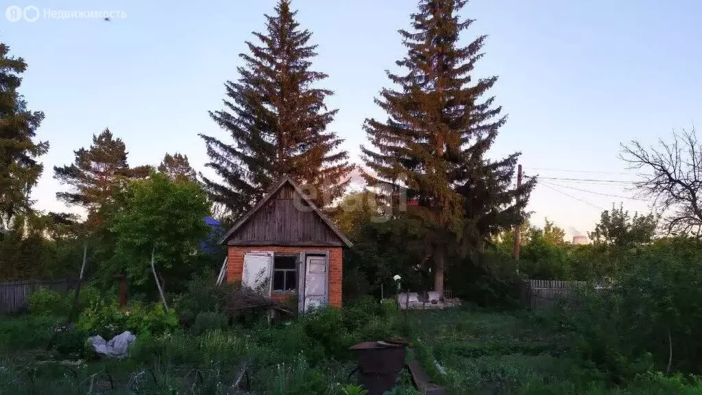 Дом в Омск, территория СОСН Берёзка, 2-я аллея (20 м) - Фото 1