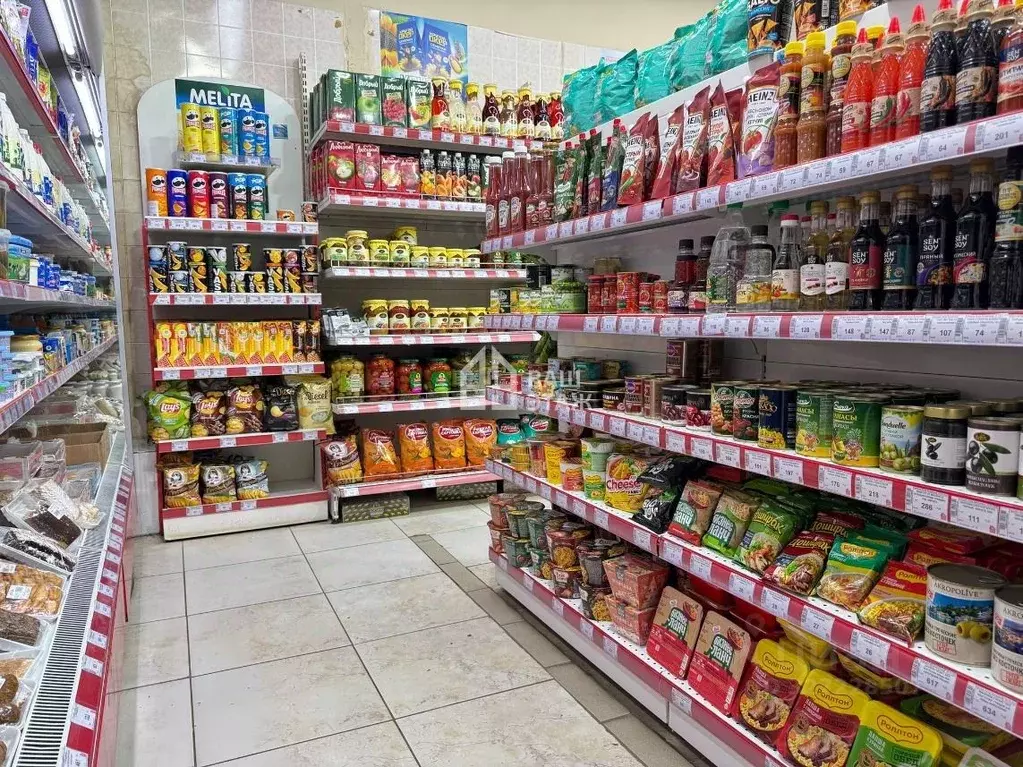 Торговая площадь в Московская область, Подольск Красная Горка мкр, ул. ... - Фото 2