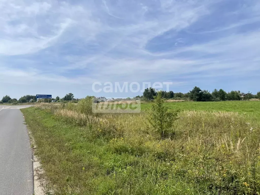 Участок в Владимирская область, Судогодский район, д. Загорье  (23.45 ... - Фото 1
