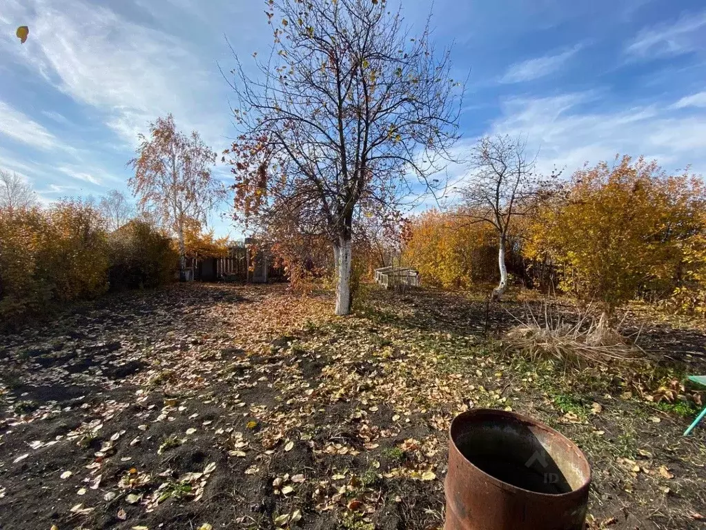 Участок в Челябинская область, Чебаркуль Крановщик СНТ, 316 (4.0 сот.) - Фото 0