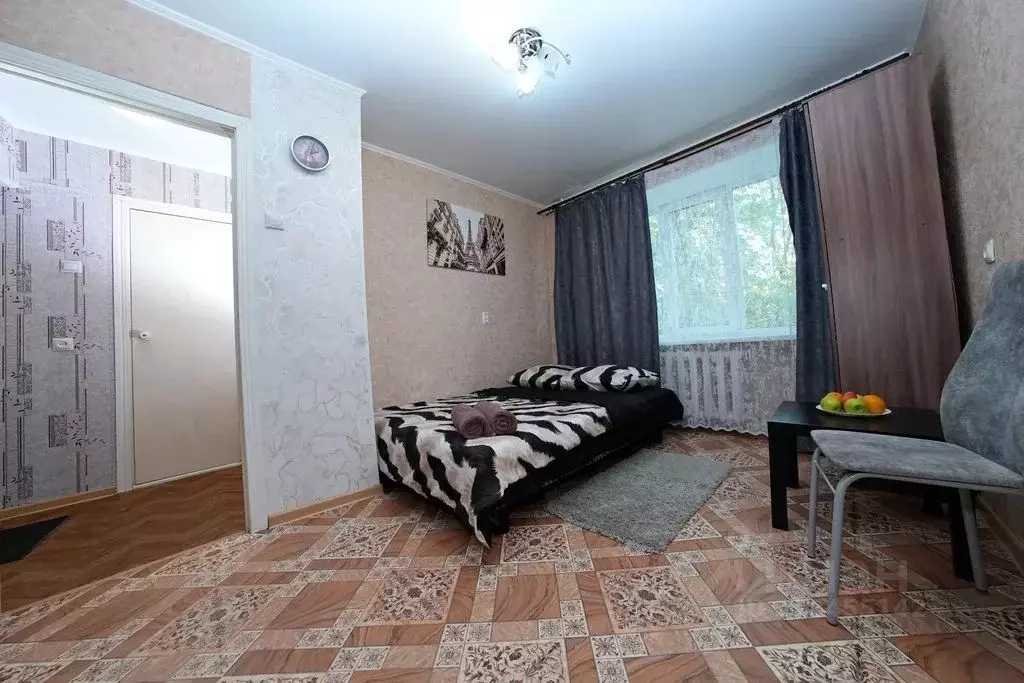 1-к кв. Омская область, Омск ул. Химиков, 47Г (25.0 м) - Фото 0