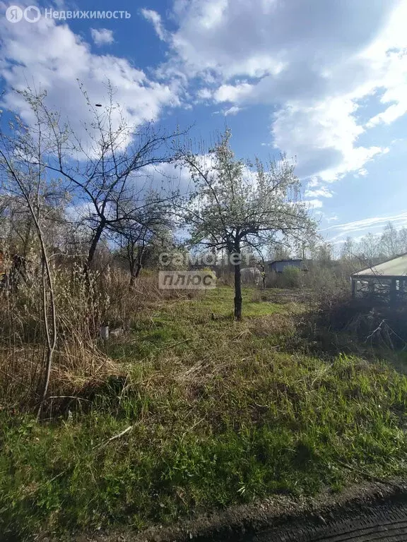 Участок в Миасс, СНТ Маяк (6 м) - Фото 1