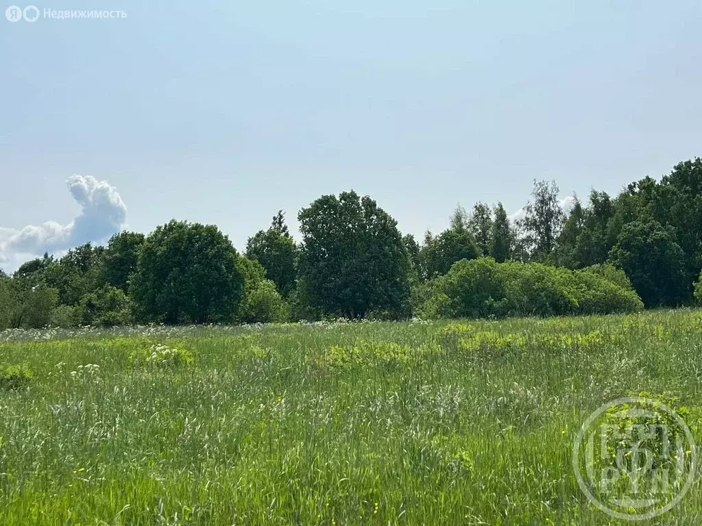 Участок в Кингисеппский район, деревня Нежново (10 м) - Фото 0