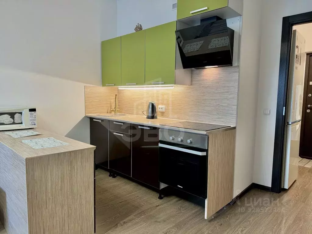 Студия Санкт-Петербург аллея Арцеуловская, 23к1 (25.0 м) - Фото 1