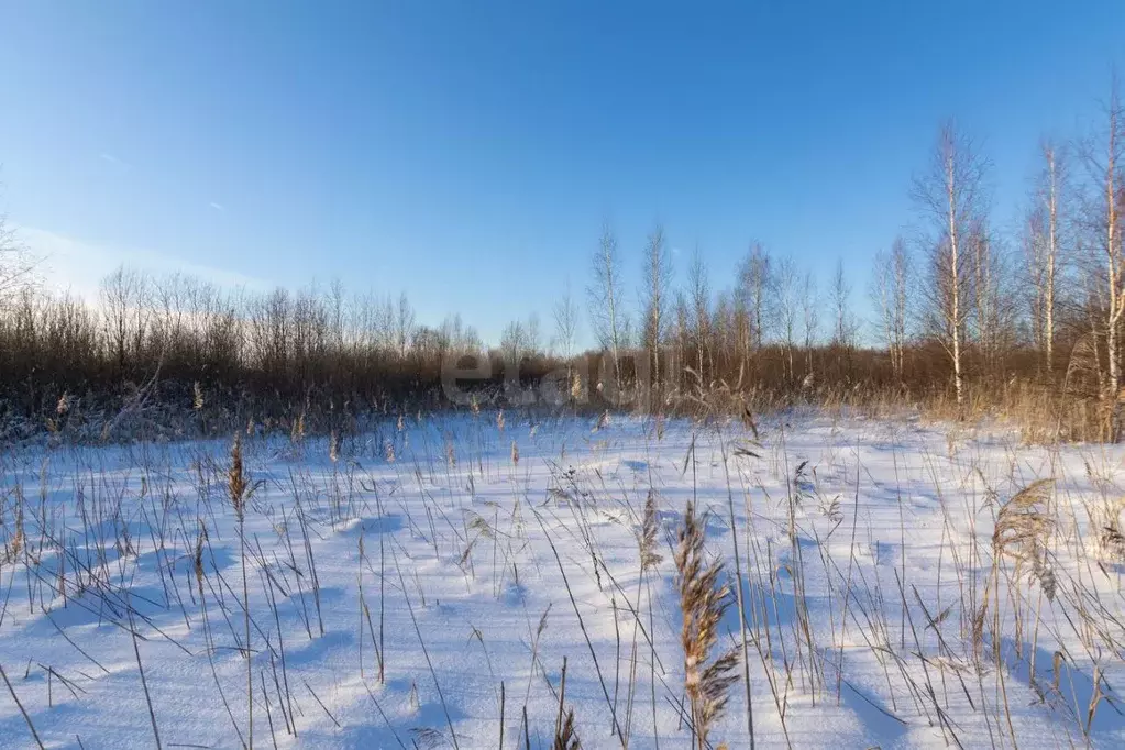 Участок в Тюменская область, Тюмень  (8.0 сот.) - Фото 1