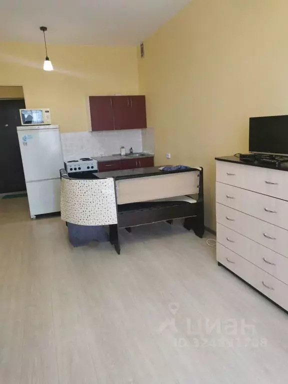 Студия Новосибирская область, Новосибирск ул. Пархоменко, 27/1 (27.0 ... - Фото 1