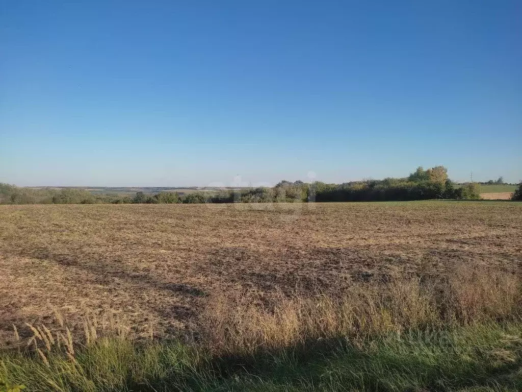 Участок в Белгородская область, Красногвардейский район, Никитовское ... - Фото 1