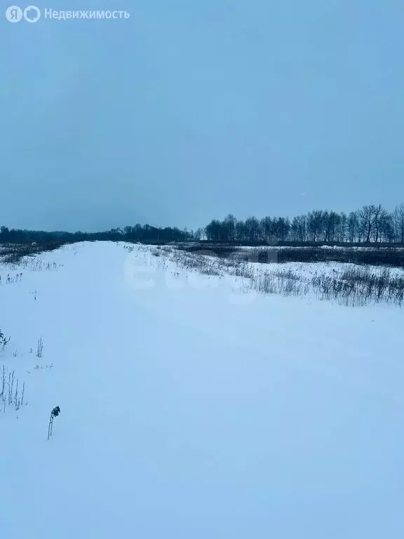 Участок в Калининградская область, Гвардейский муниципальный округ, ... - Фото 2