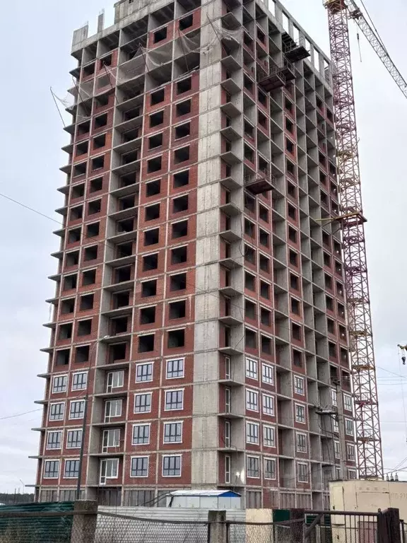 Студия Башкортостан, Нефтекамск Комсомольский просп., 92 (33.03 м) - Фото 1