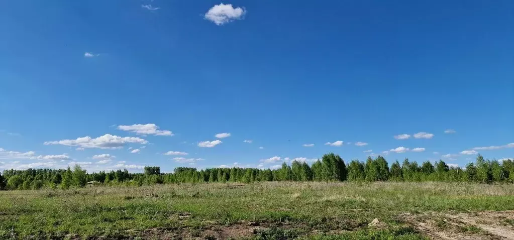 Участок в Татарстан, Лаишевский район, с. Сокуры, Новые Сокуры - 2 кп ... - Фото 0