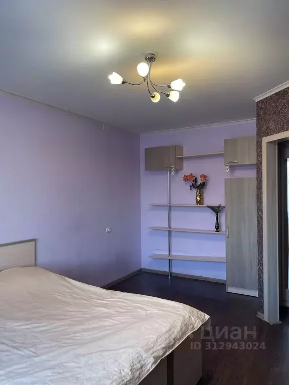 1-к кв. Нижегородская область, Нижний Новгород Народная ул., 37а (35.0 ... - Фото 1