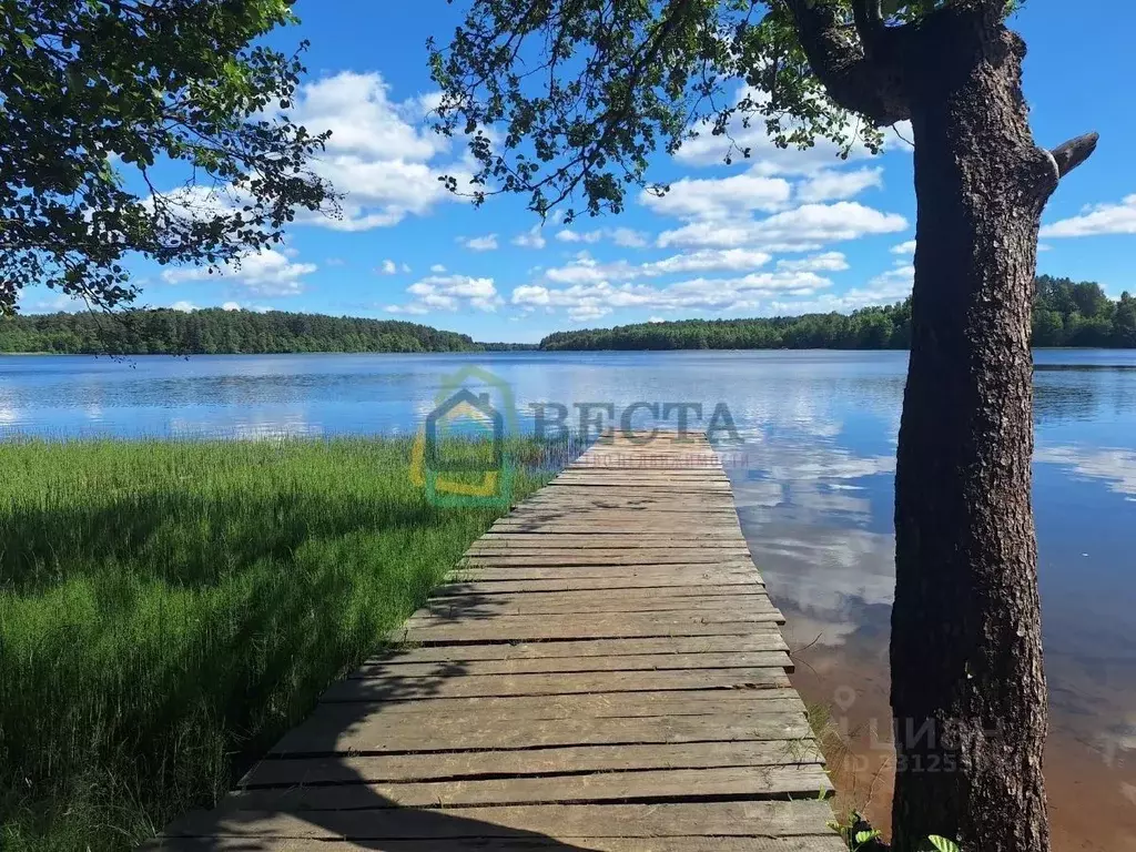 Участок в Ленинградская область, Приозерский район, Сосновское с/пос, ... - Фото 1
