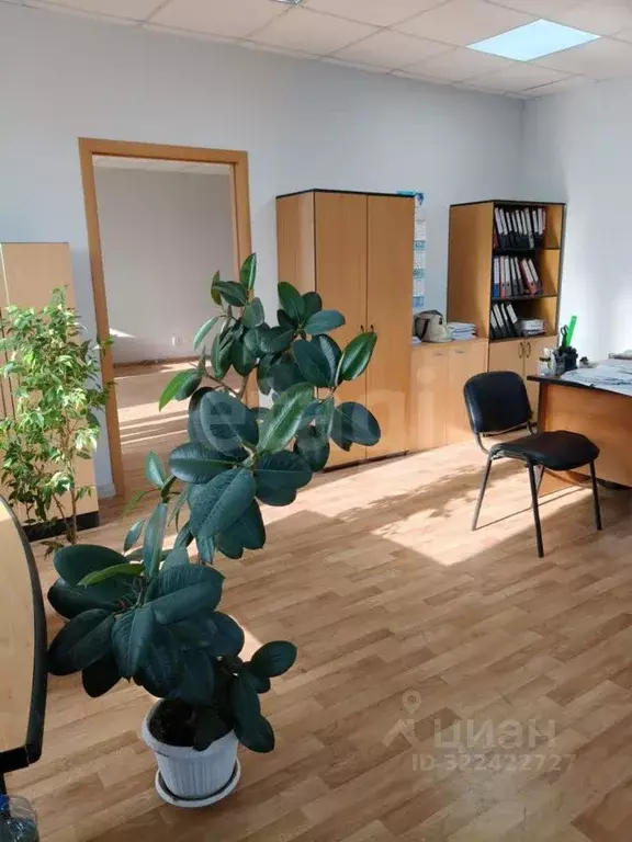 Офис в Тюменская область, Тюмень ул. Баумана, 29 (83 м) - Фото 1