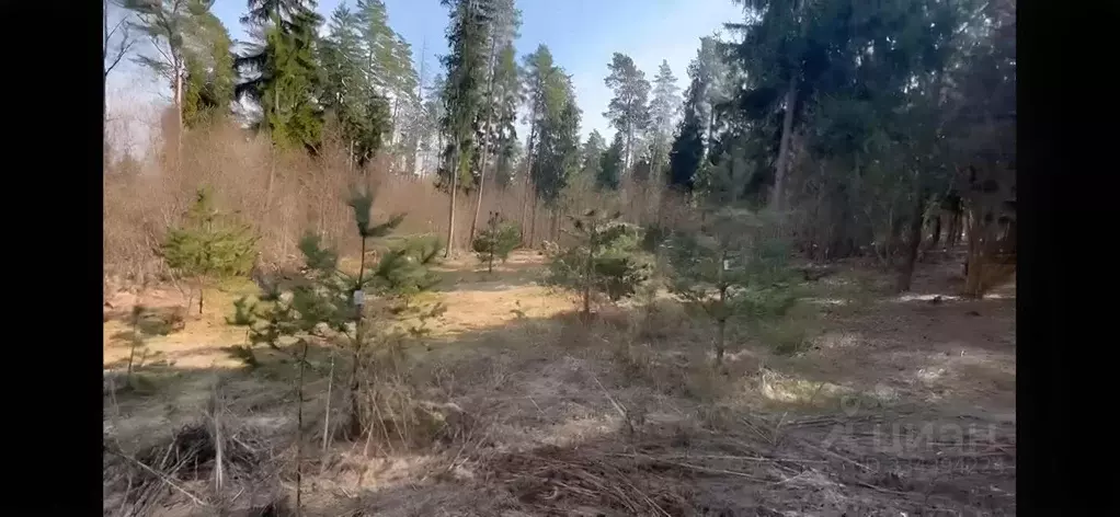 Участок в Московская область, Одинцовский городской округ, д. Дунино, ... - Фото 1