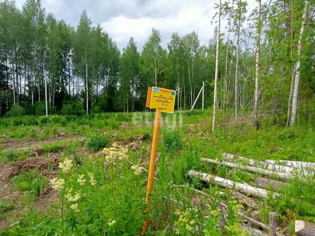 Участок в Коми, Сыктывкар ул. 10-я Линия (12.7 сот.) - Фото 1