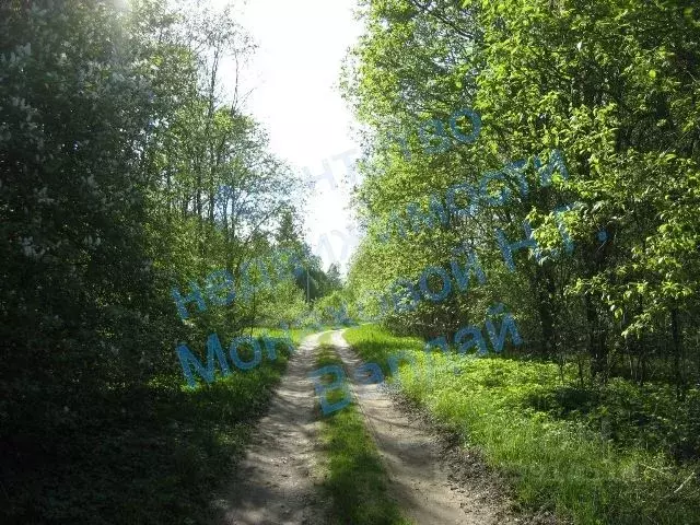 Участок в Новгородская область, Валдайский район, Ивантеевское с/пос, ... - Фото 2