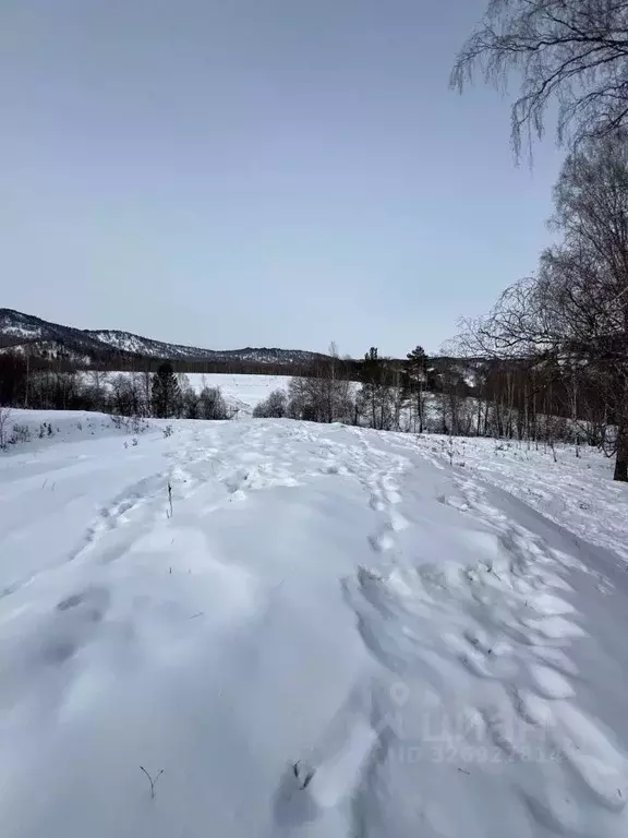 Участок в Алтай, Чемальский район, с. Бешпельтир  (1.0 сот.) - Фото 2