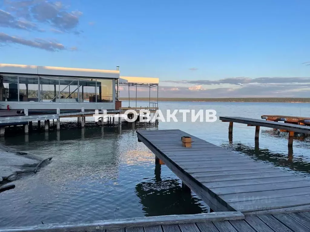 Помещение свободного назначения в Новосибирская область, Ордынский ... - Фото 0