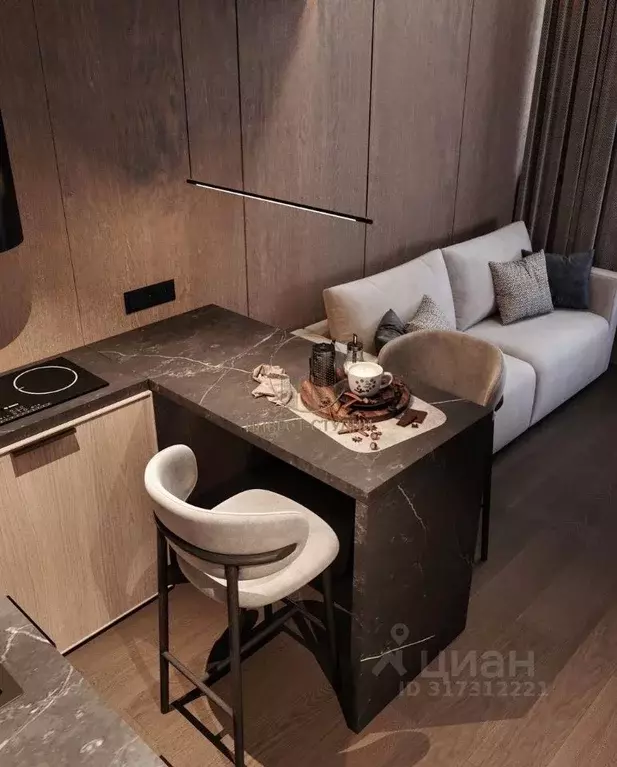 Студия Санкт-Петербург ул. Жуковского, 10 (23.3 м) - Фото 1