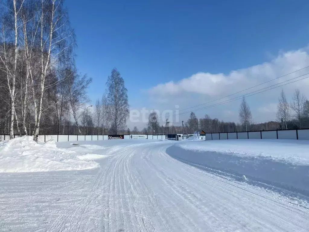 Участок в Новосибирская область, Новосибирский район, Станционный ... - Фото 0