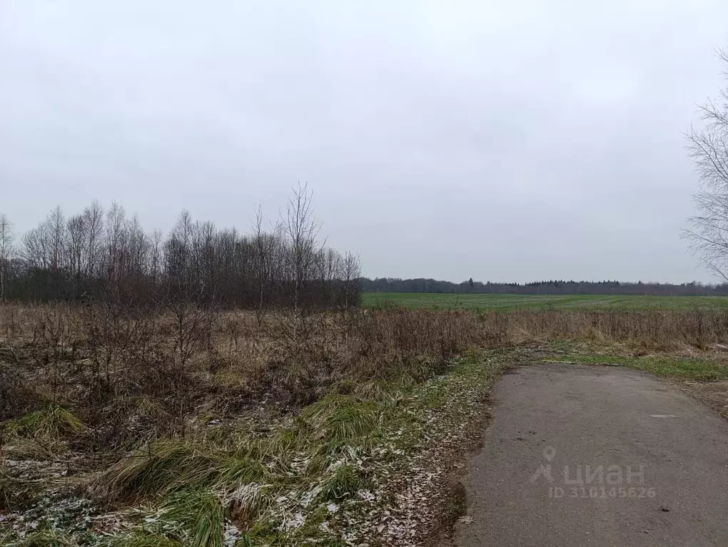 Участок в Московская область, Можайский городской округ, д. Малое ... - Фото 1