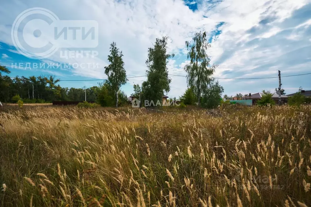Участок в Воронежская область, Воронеж ул. Совхозная (6.0 сот.) - Фото 2