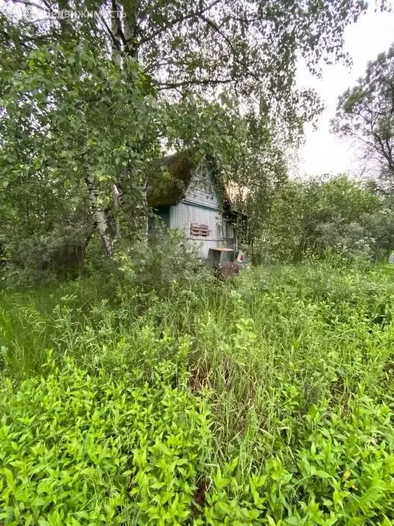 Участок в Вологда, садоводческое товарищество Сохатый (12 м) - Фото 0