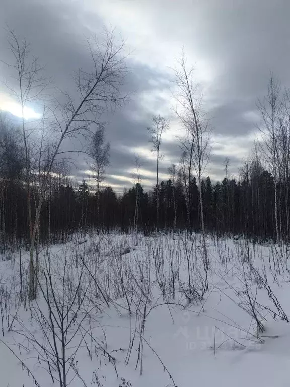 Участок в Иркутская область, Иркутский муниципальный округ, д. ... - Фото 1