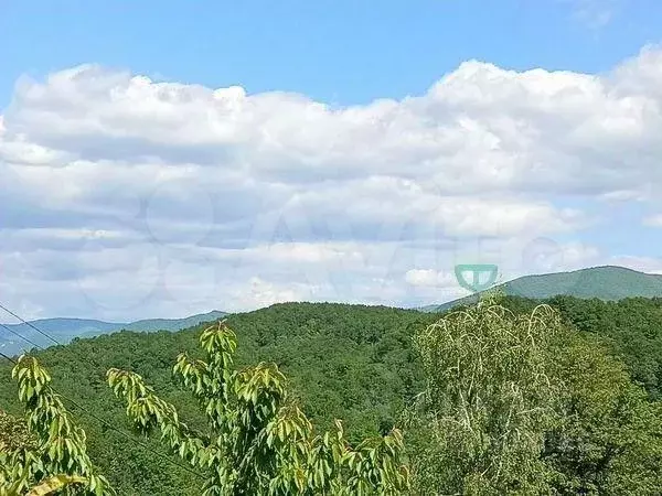 Участок в Краснодарский край, Геленджик муниципальное образование, с. ... - Фото 0