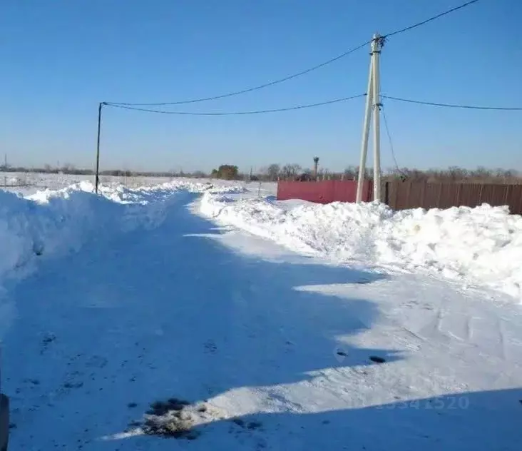 Участок в Ульяновская область, Чердаклинский район, Красноярское ... - Фото 1