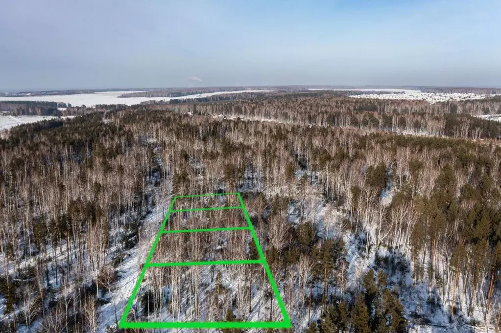 Участок в Свердловская область, Екатеринбург Лесной парк кп,  (26.6 ... - Фото 2