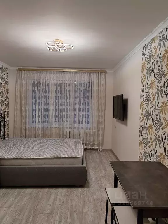 Комната Московская область, Люберцы ул. С.П. Попова, 24к1 - Фото 1