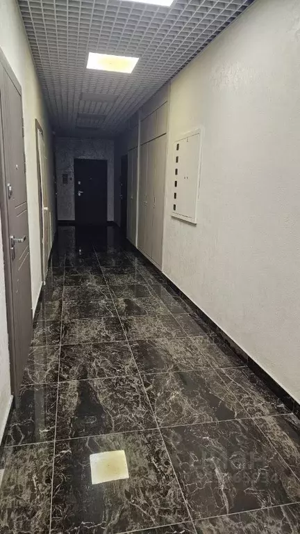 Студия Новосибирская область, Новосибирск ул. Шевченко, 19/1к2 (30.0 ... - Фото 2