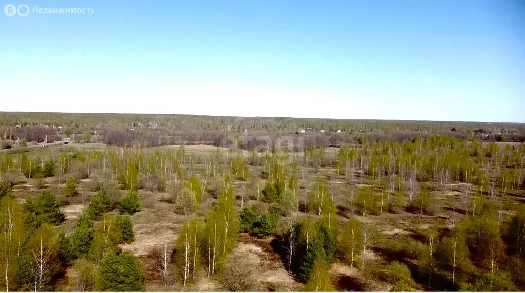 Участок в Нижегородская область, Городецкий муниципальный округ, ... - Фото 0