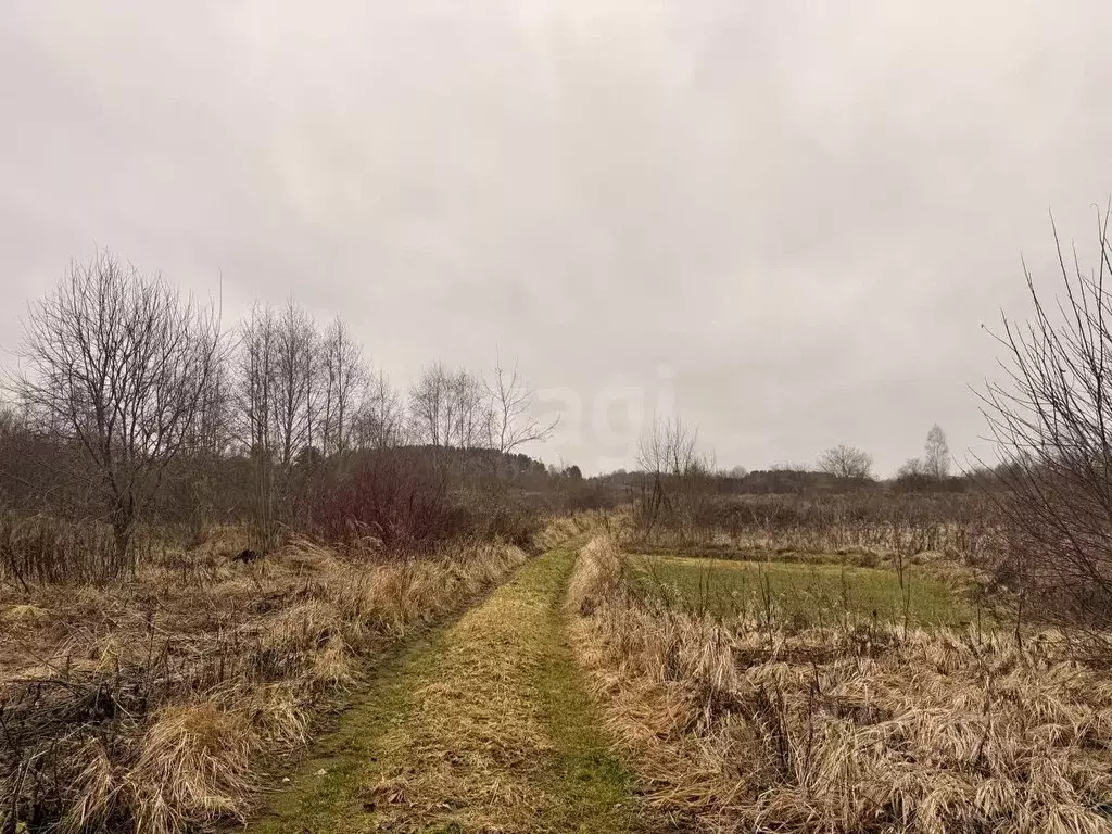 Участок в Смоленская область, Смоленский муниципальный округ, д. ... - Фото 2