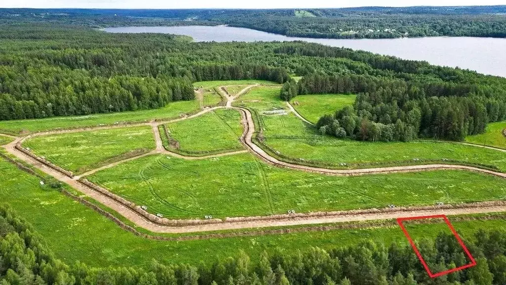 Участок в Ленинградская область, Приозерский район, Красноозерное ... - Фото 2