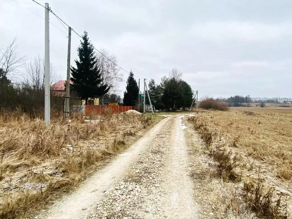 Участок в Суздальский район, муниципальное образование Селецкое, село ... - Фото 1