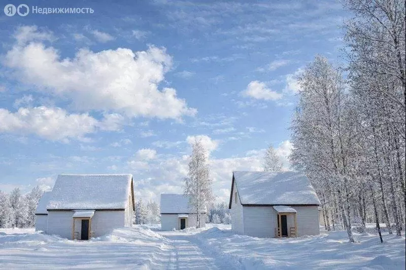 Дом в деревня Вайялово, Лесная улица, 24 (80 м) - Фото 2