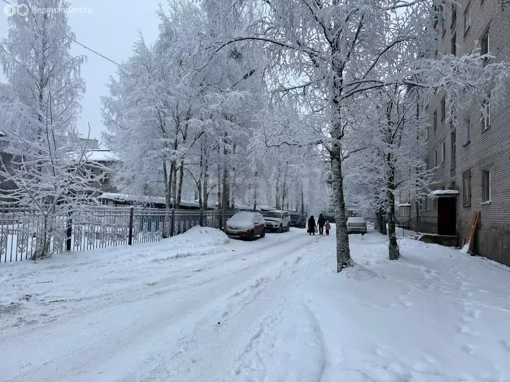 1-комнатная квартира: Новодвинск, улица 50-летия Октября, 50к1 (18 м) - Фото 1