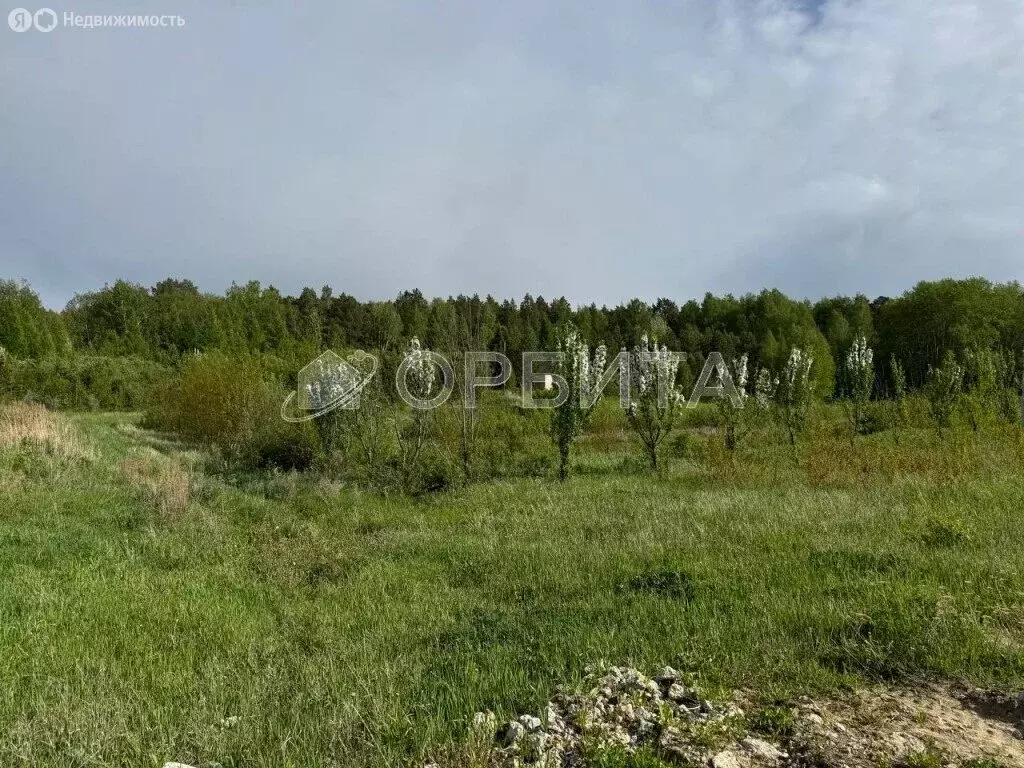 Участок в Тюменский муниципальный округ, село Горьковка (10 м) - Фото 0