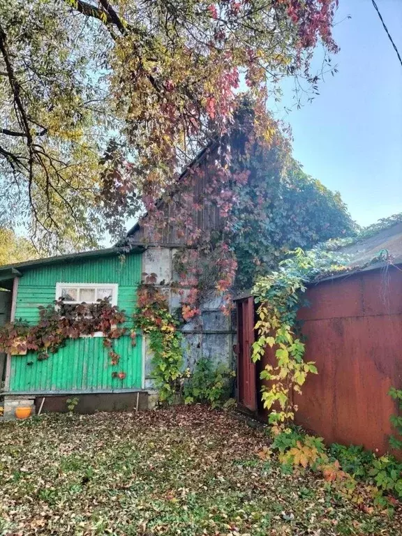 Участок в Калужская область, Бабынинский муниципальный округ, ... - Фото 2