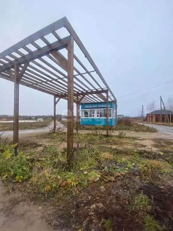 Участок в Московская область, Дмитровский городской округ, д. ... - Фото 1