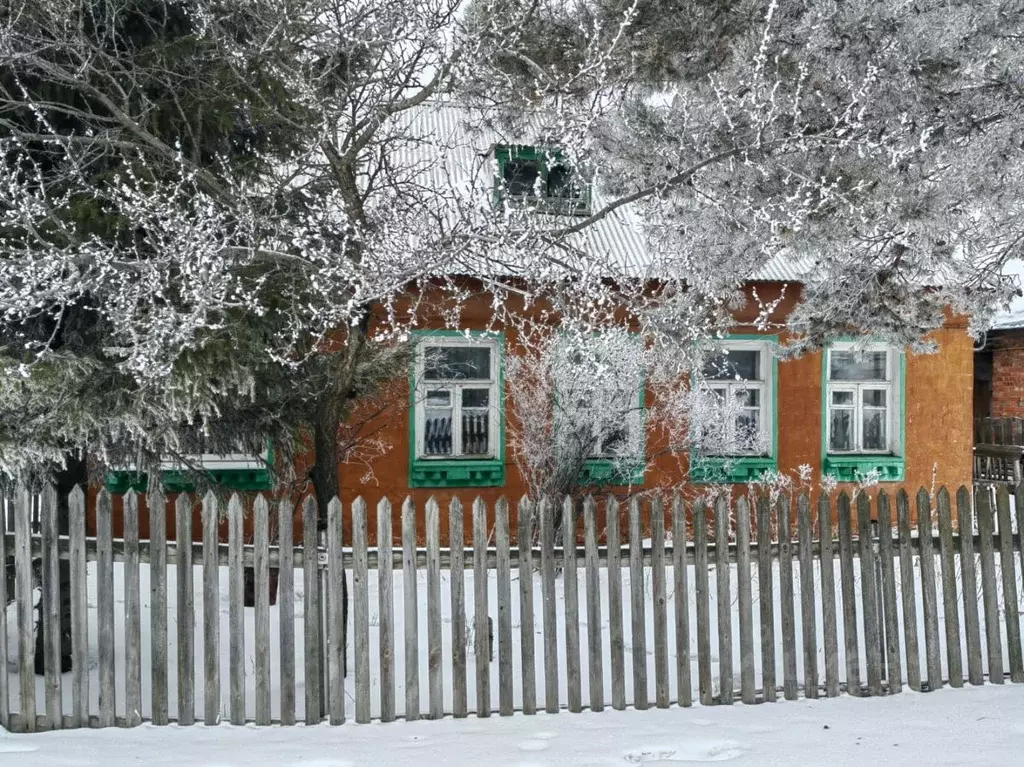 Дом в Самарская область, Красноярский район, Новосемейкино городское ... - Фото 0